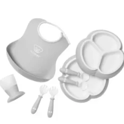8 Piece Dinnerware Set