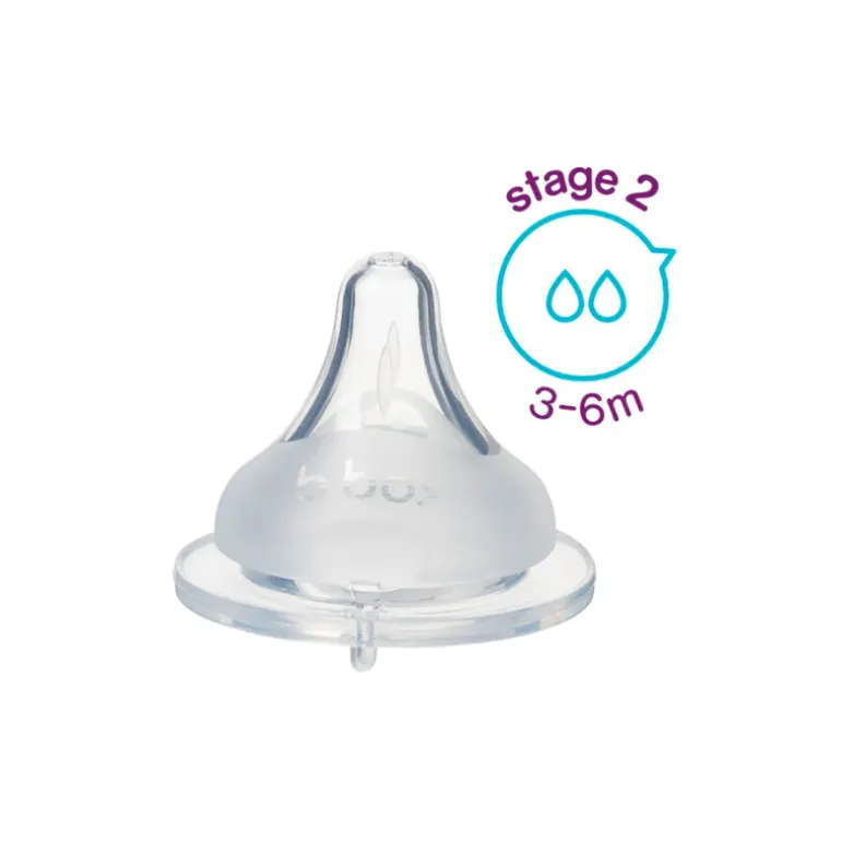 Anti-Colic Teats - 2 Pack