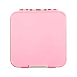 Bento 5 Lunch Boxes