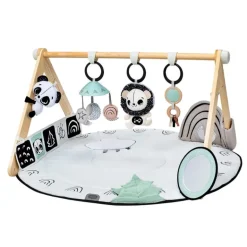 Black & White Décor Luxe Developmental Gymini