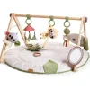 Boho Chic Luxe Developmental Gymini