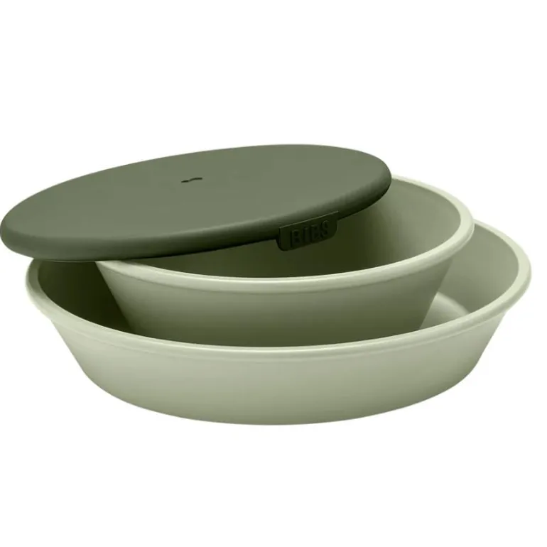 Dinner Plate Set