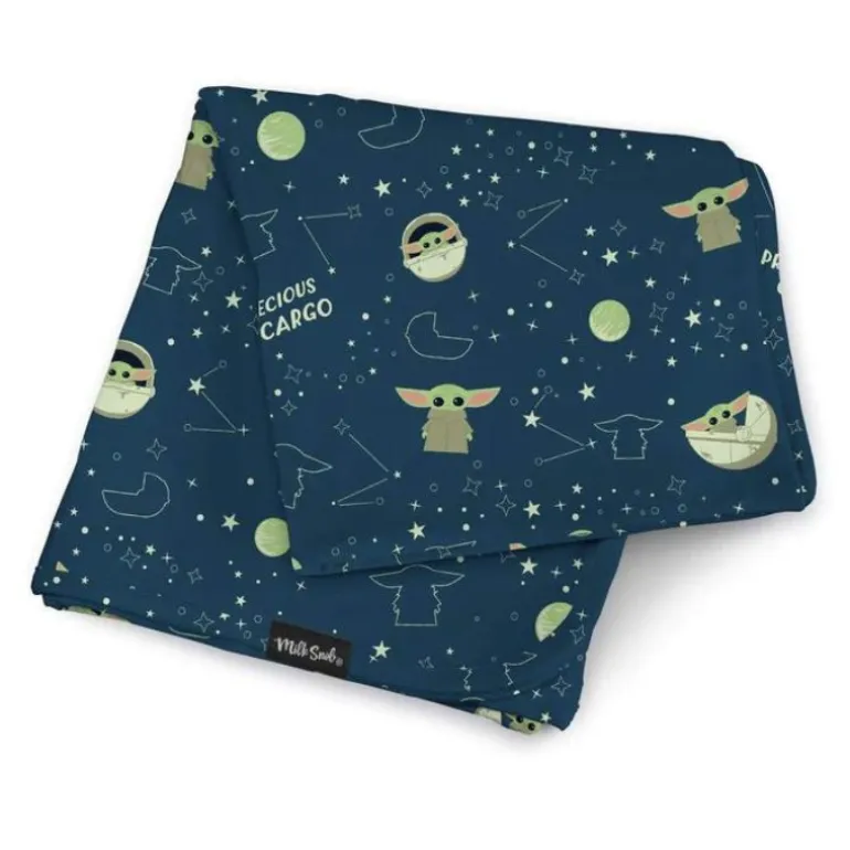 Disney Blanket