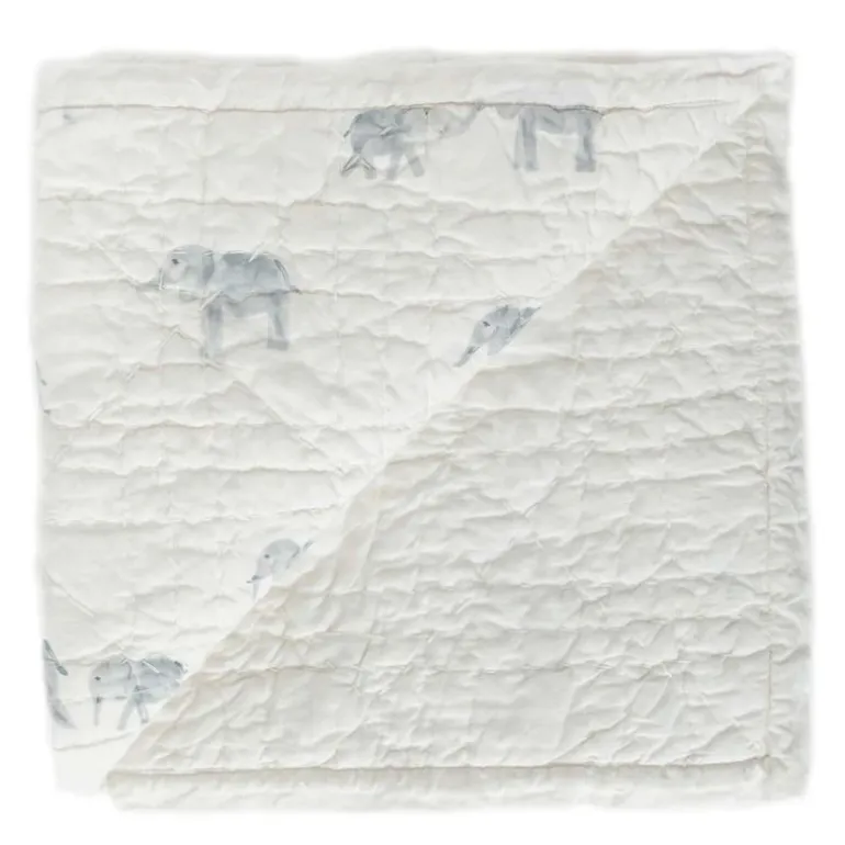 Hatchlings Blanket
