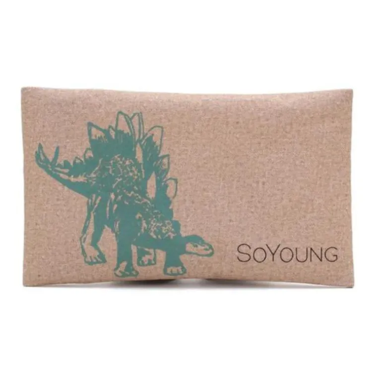 Ice Pack