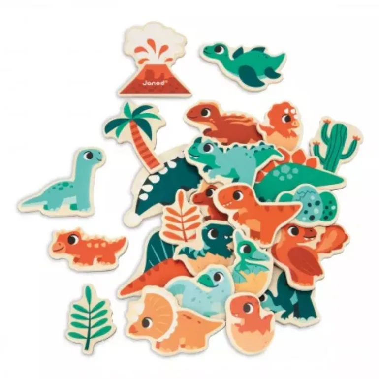 Magnets 24 Pieces
