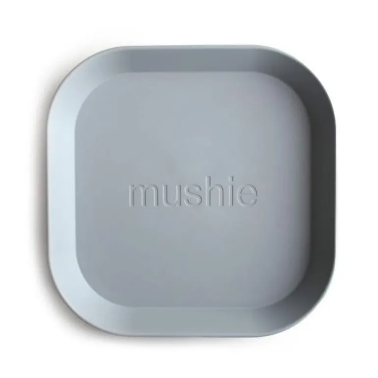 Plate Set Square - 2 Pack