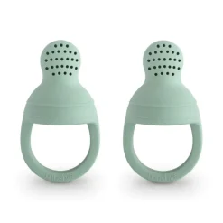 Silicone Fresh Food Feeder - 2 Pack